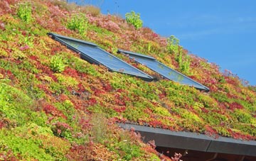 Ledsham living roof systems
